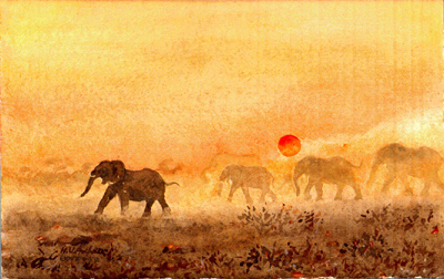 Bild Eine Herde Elefanten im Sonnenuntergang von Uli Aschenborn